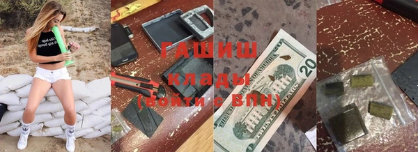 дмт Пересвет