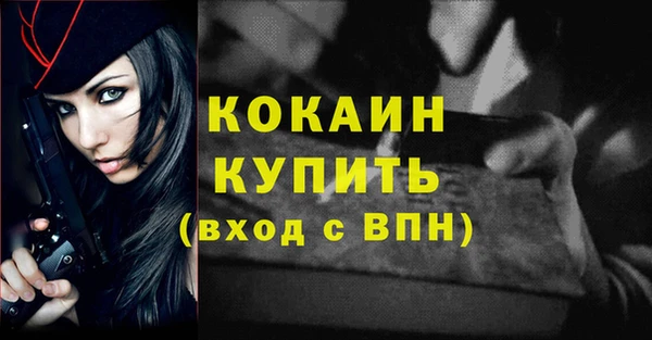 дмт Пересвет