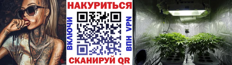 Конопля план  Бугуруслан 